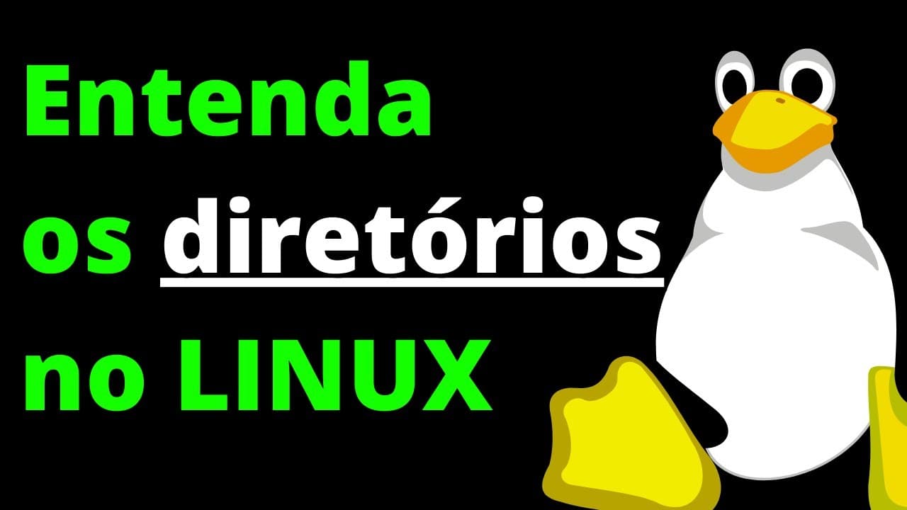 Estrutura do Linux explicada em 20 MINUTOS!